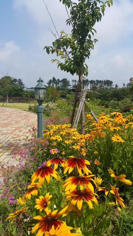 Baghdad House Villa Jeju Dış mekan fotoğraf