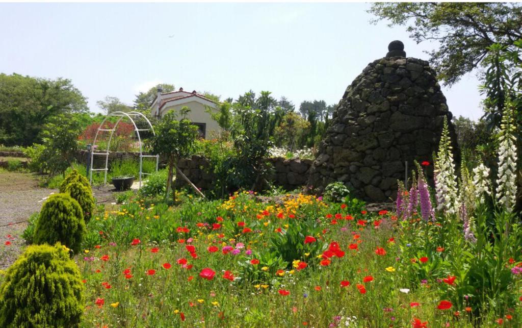 Baghdad House Villa Jeju Dış mekan fotoğraf