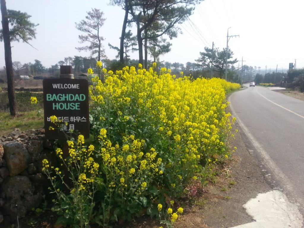 Baghdad House Villa Jeju Dış mekan fotoğraf