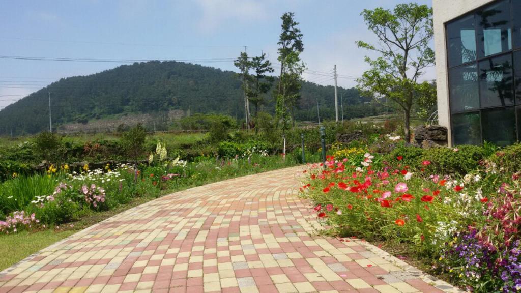 Baghdad House Villa Jeju Dış mekan fotoğraf
