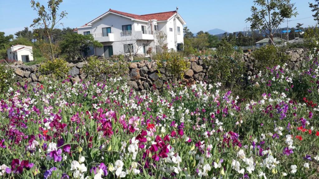 Baghdad House Villa Jeju Dış mekan fotoğraf