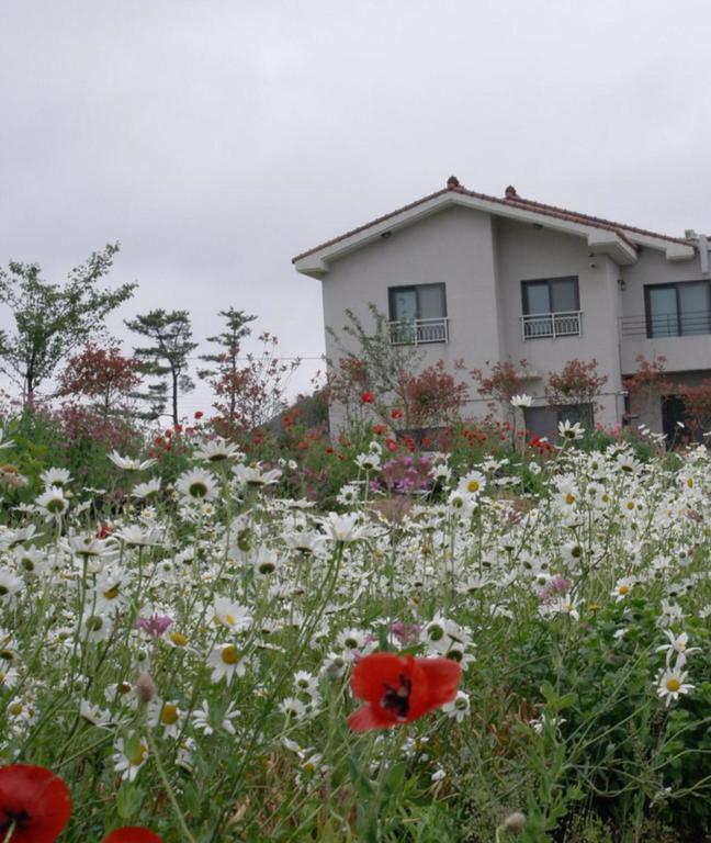 Baghdad House Villa Jeju Dış mekan fotoğraf