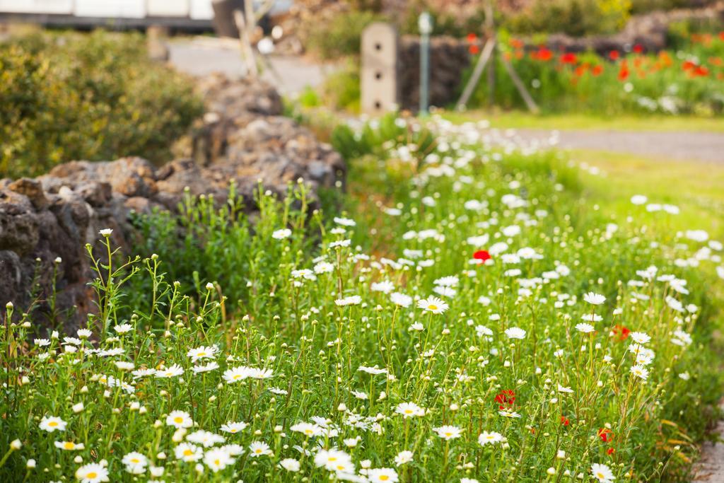 Baghdad House Villa Jeju Dış mekan fotoğraf