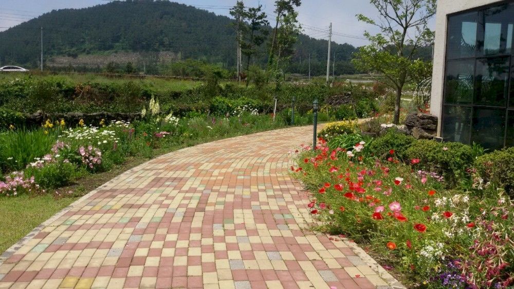 Baghdad House Villa Jeju Dış mekan fotoğraf